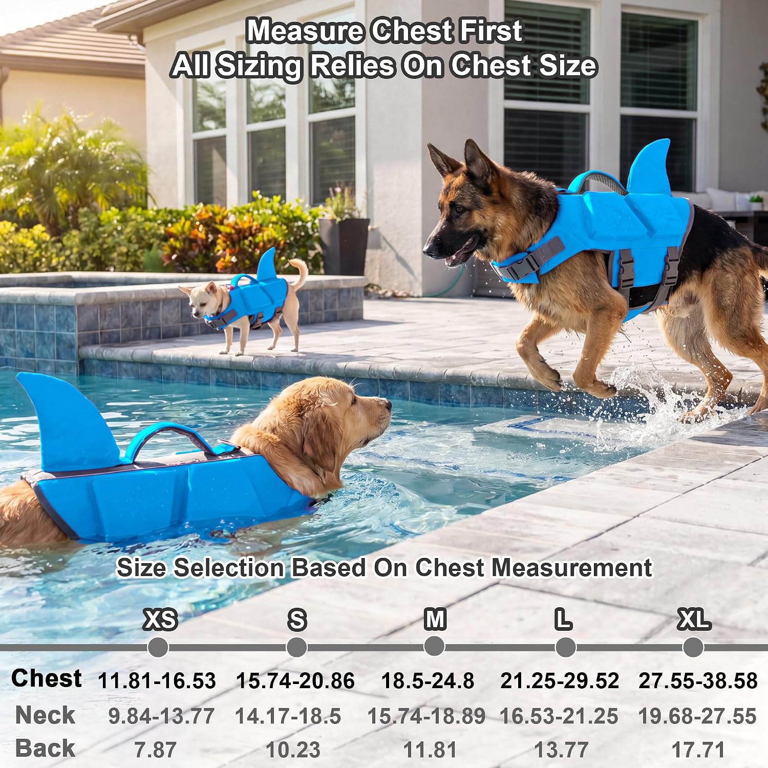 XS-XL complete size chart with multiple body types